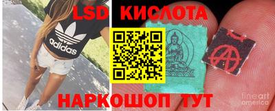 скорость Краснознаменск