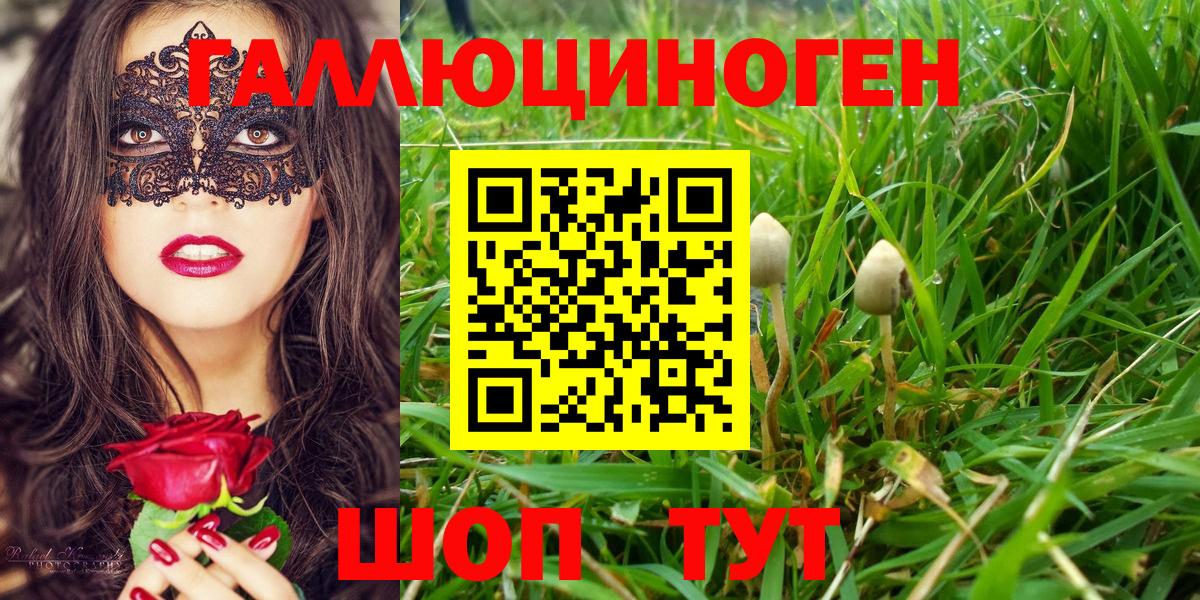 Псилоцибиновые грибы Cubensis Ефремов
